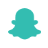 snapicon